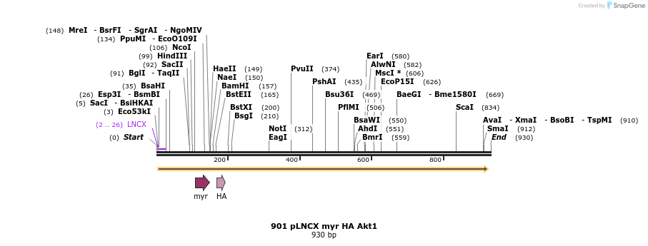 37143_map
