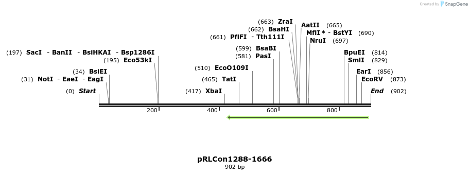 37145_map