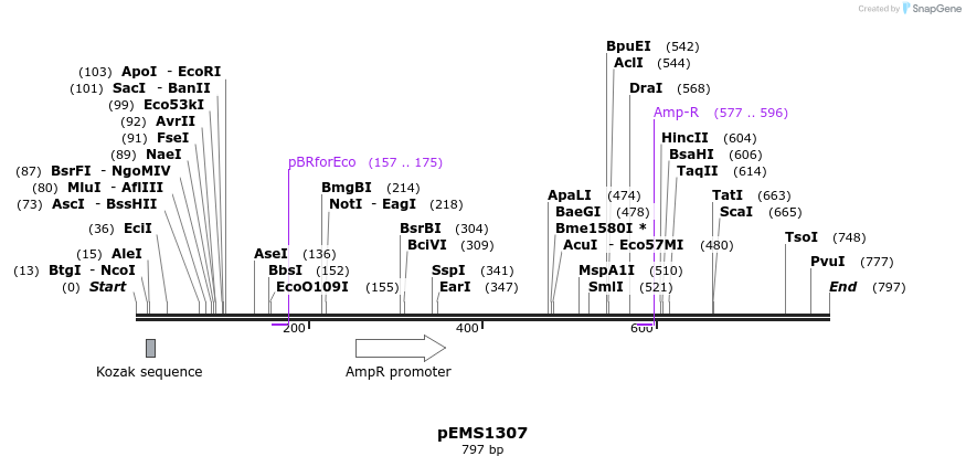 37147_map
