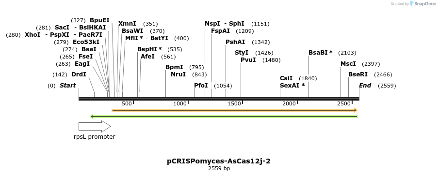 371485_map