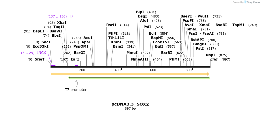 37151_map