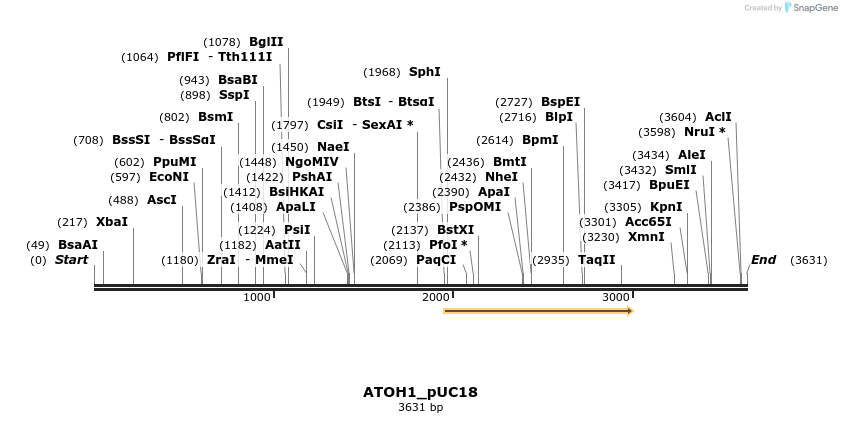 371534_map