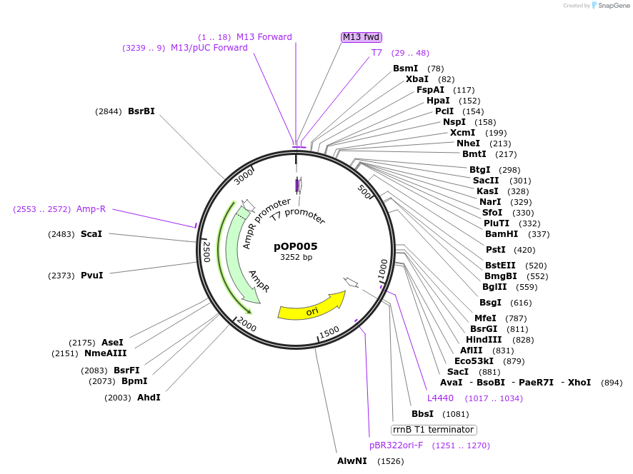 371540_map