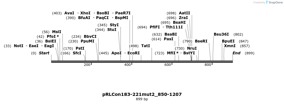 37155_map