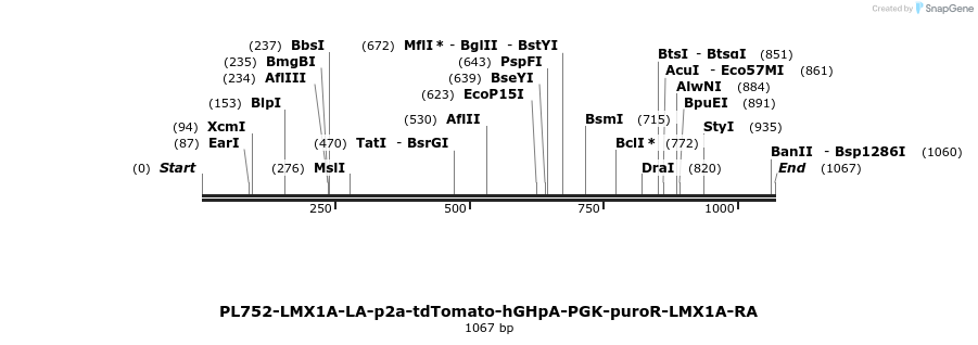 371550_map