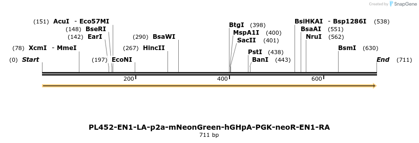 371554_map