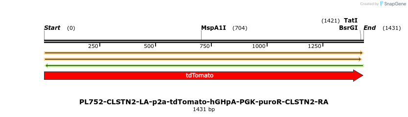 371557_map