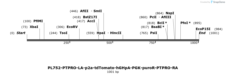 371561_map