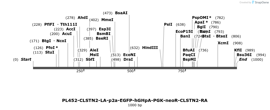 371565_map
