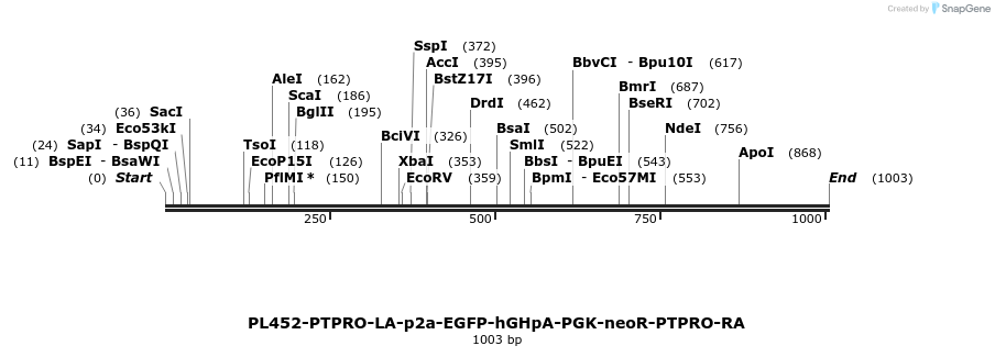 371568_map