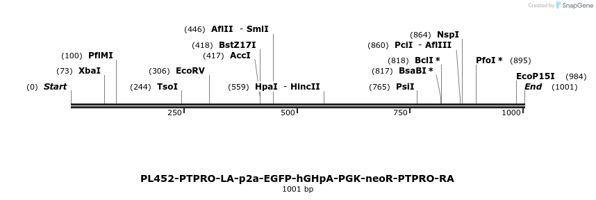 371570_map