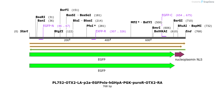 371571_map