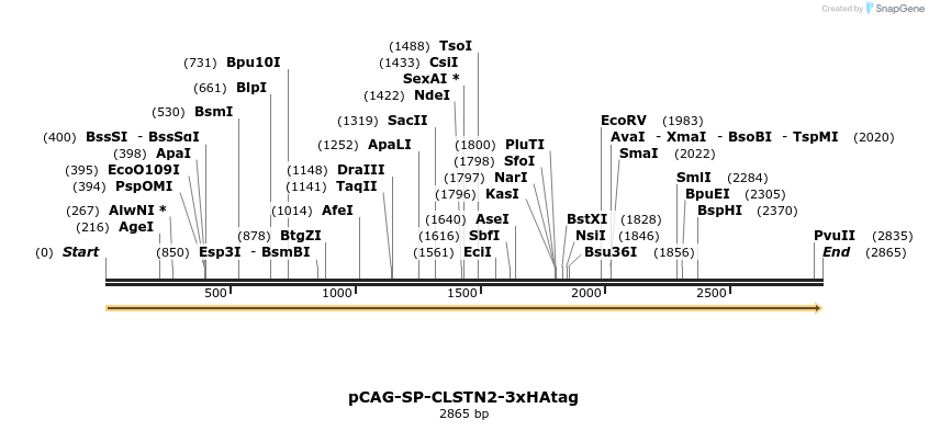 371574_map