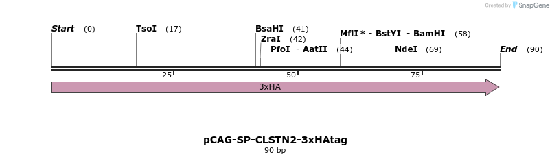 371575_map