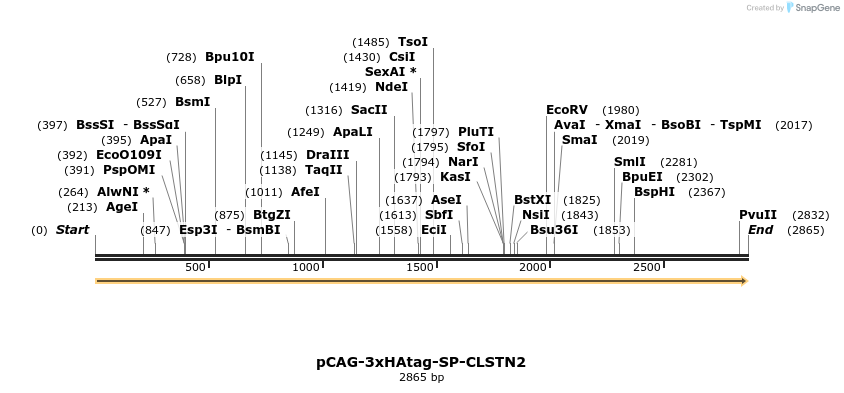 371576_map