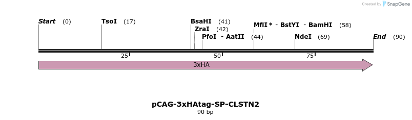 371577_map