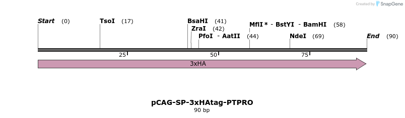 371579_map