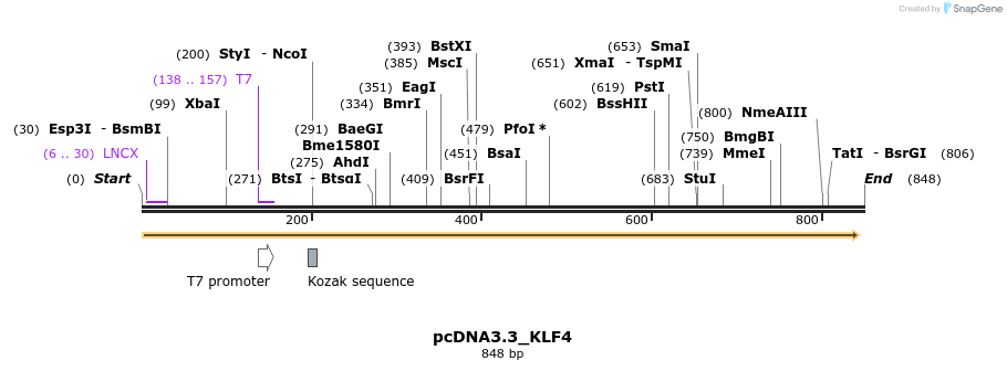 37158_map