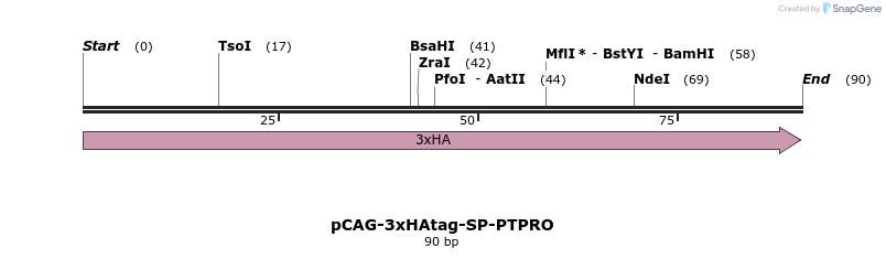 371581_map