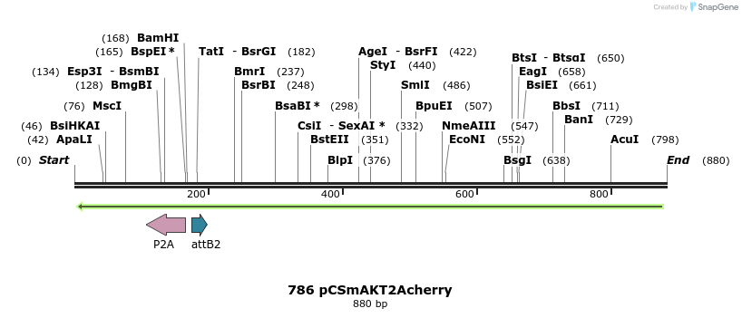 37159_map