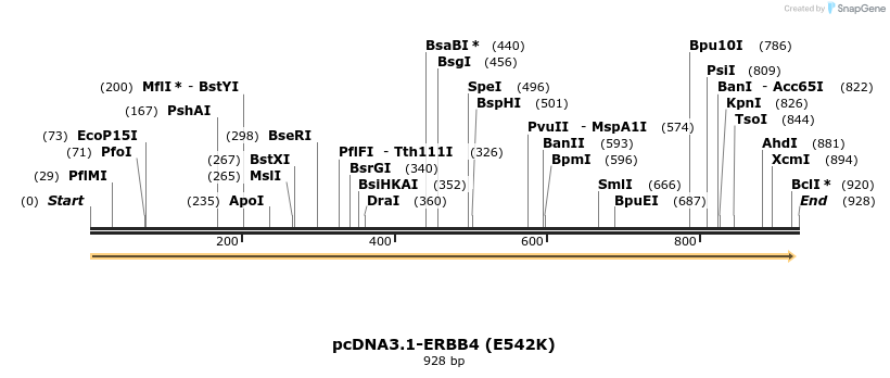 37160_map