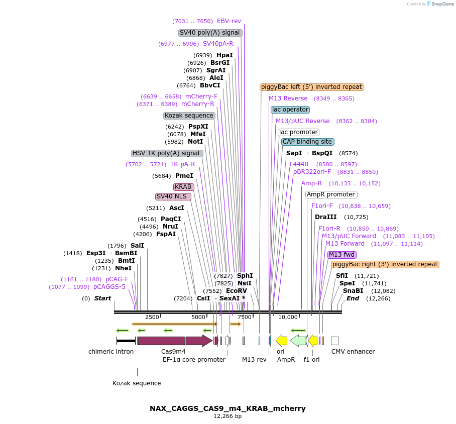 371635_map