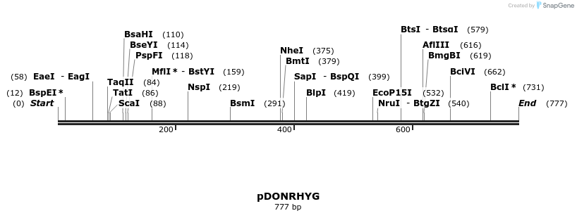 37166_map