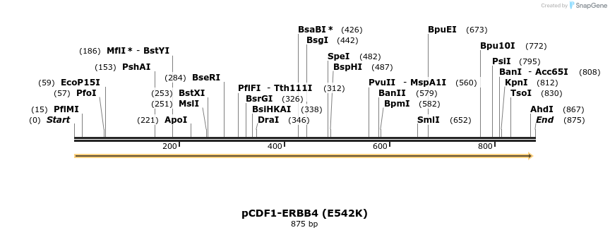 37168_map