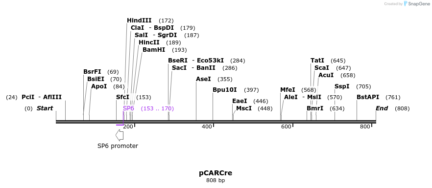 37169_map