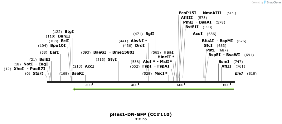 37171_map