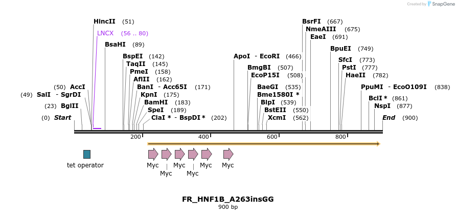 37176_map