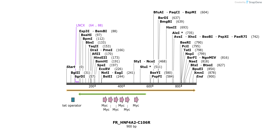 37179_map