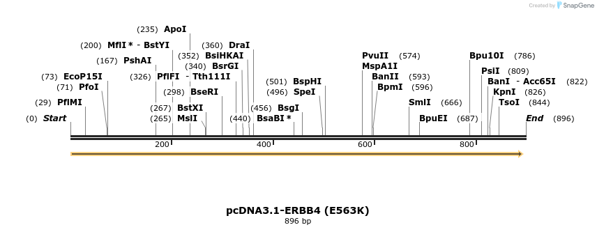37181_map