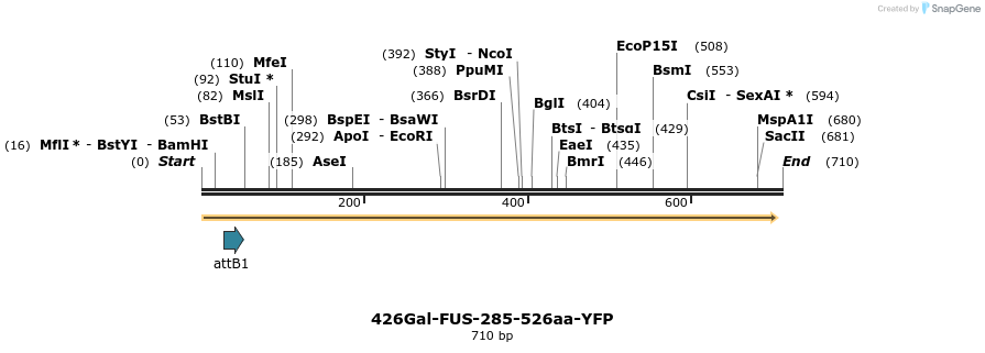 37182_map