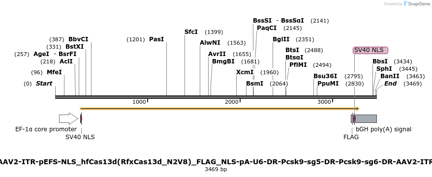 371894_map