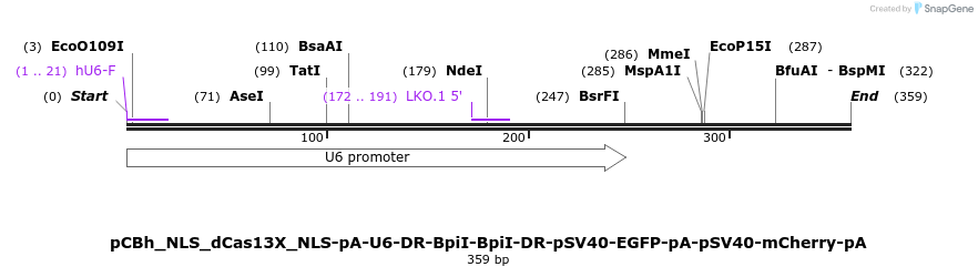 371898_map