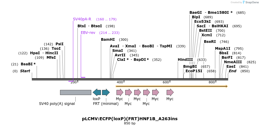 37191_map