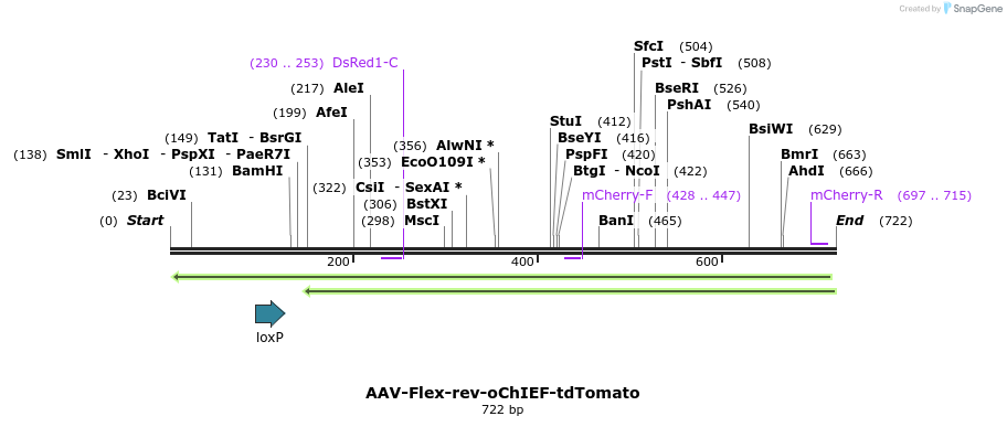 37192_map
