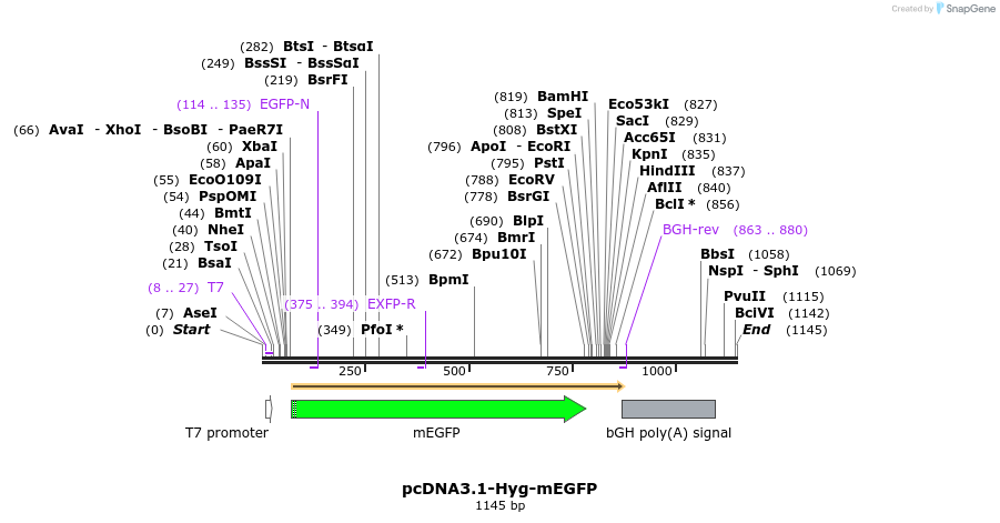 371970_map