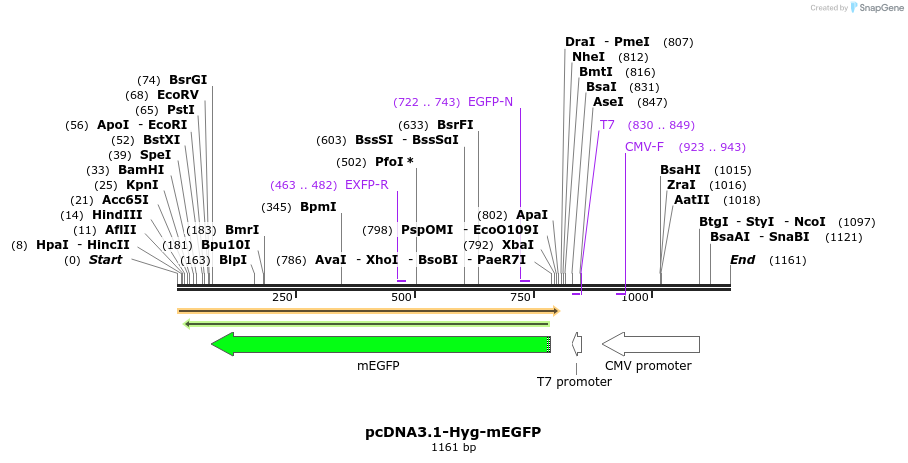 371971_map