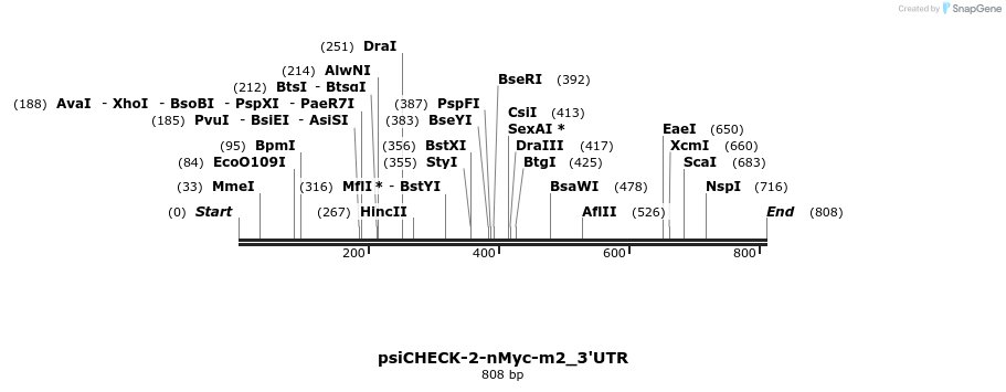 37199_map