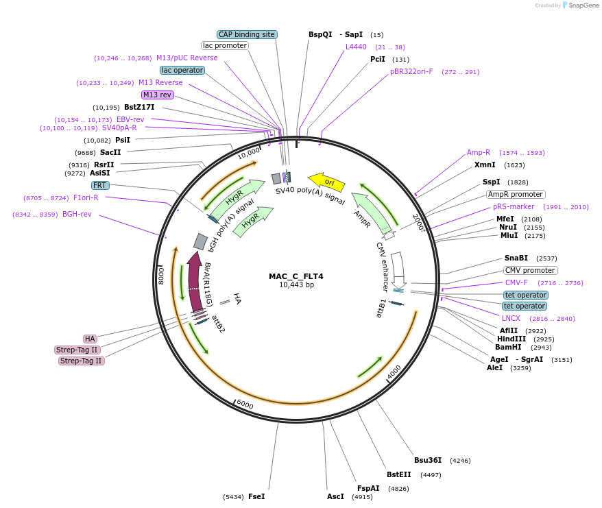 372012_map