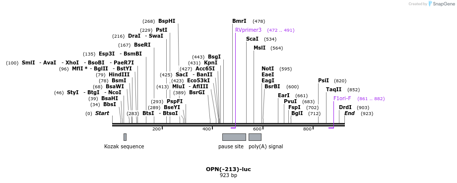 37202_map
