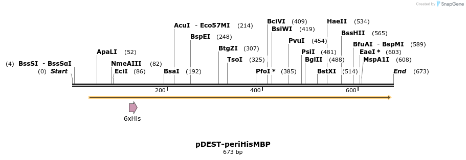 37204_map
