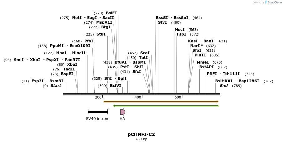 37207_map
