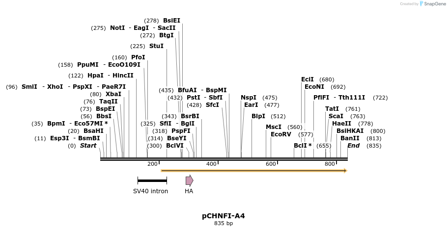 37208_map