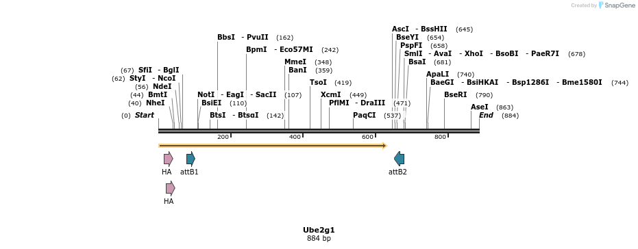 37210_map