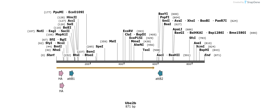 37211_map