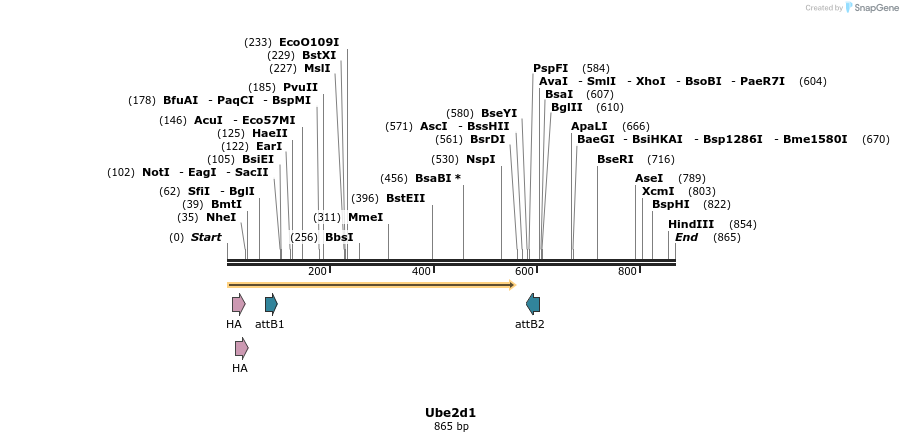 37213_map