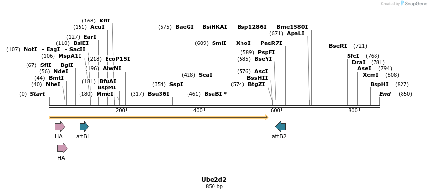 37214_map